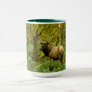 Bull Roosevelt Elk Mug
