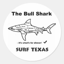 Bull Shark