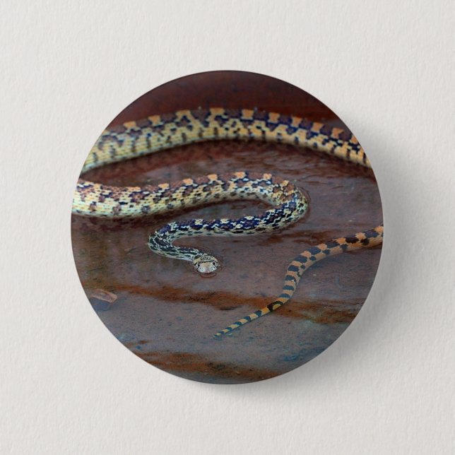 Bull Snake 6 Cm Round Badge (Front)