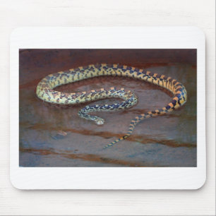 Bull Snake Mouse Mat