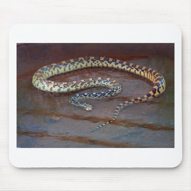 Bull Snake Mouse Mat (Front)
