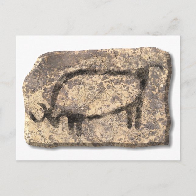 Bull-stone Postcard (Front)