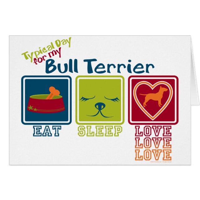 Bull Terrier (Front Horizontal)