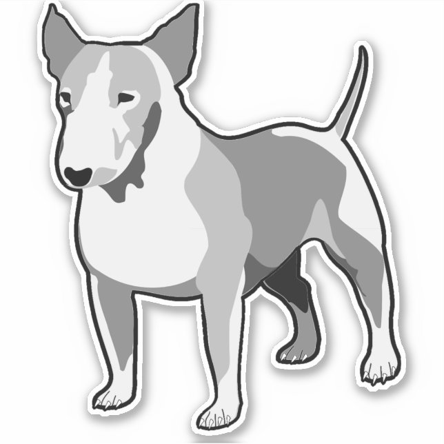 Bull Terrier (Front)
