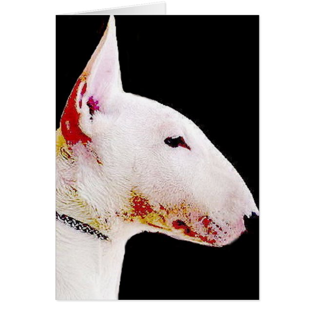 Bull Terrier (Front)