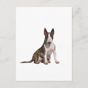Bull Terrier (B) - Brindle and white Postcard