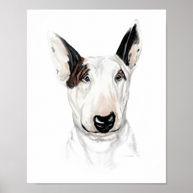 Bull Terrier Bust Poster (Front)