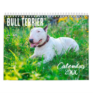 Bull Terrier calendar 2025
