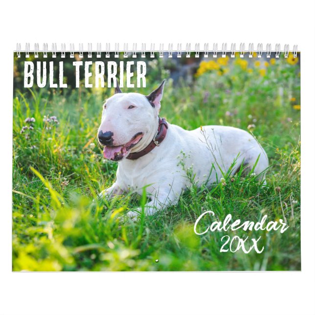 Bull Terrier calendar 2026 (Cover)