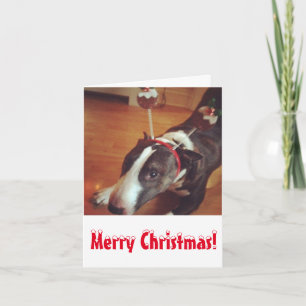 Bull Terrier Christmas Card
