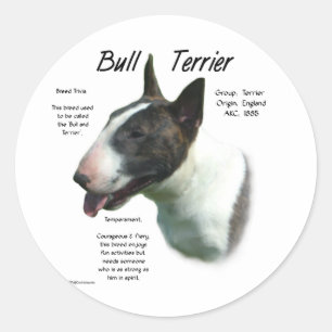 Bull Terrier (coloured) History Design Classic Round Sticker