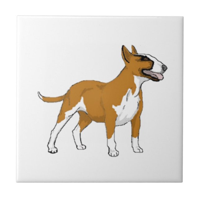 Bull Terrier -- Coloured Tile (Front)