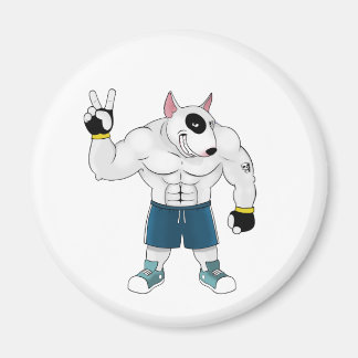 bull terrier dog  fight magnet