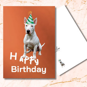 Bull Terrier Dog Happy Birthday Greeting Card