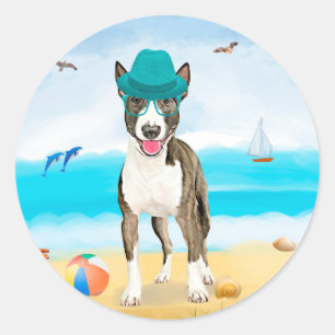 Bull Terrier Dog on Beach Classic Round Sticker