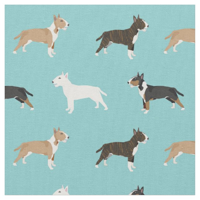 bull terrier dogs light blue fabric (Close Up)