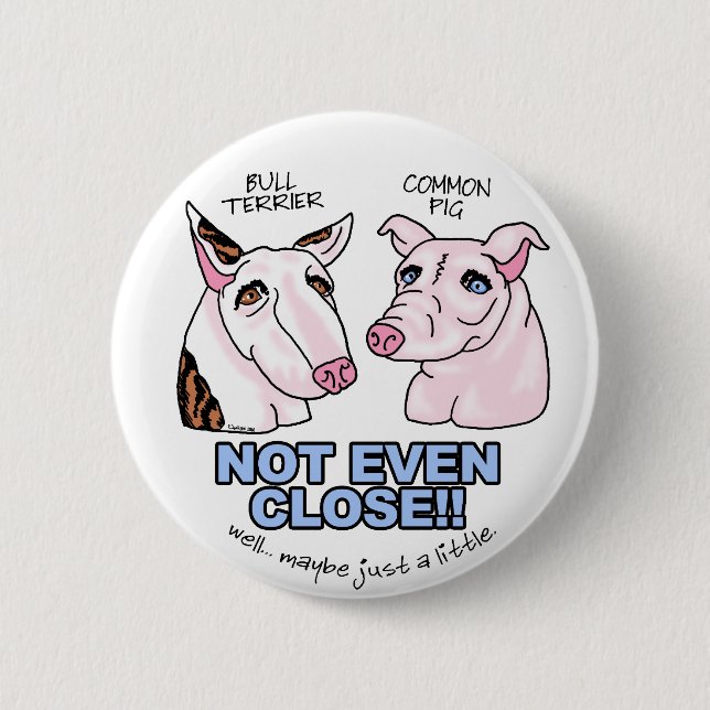Bull Terrier NOT A Pig 6 Cm Round Badge (Front)