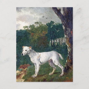 Bull Terrier Painting - Vintage Fine Art Postcard