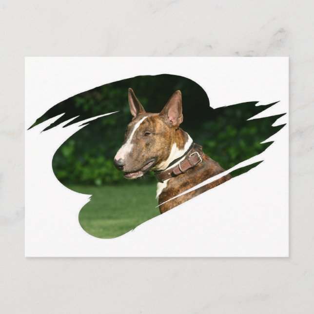 Bull Terrier Postcard (Front)