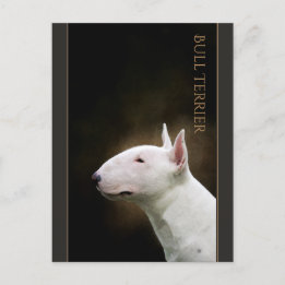 Bull Terrier Postcard