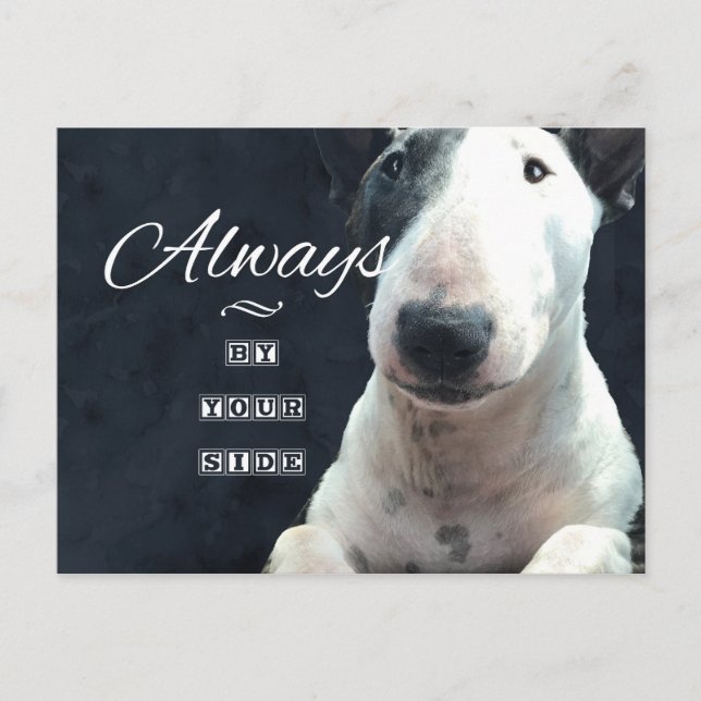 Bull Terrier Postcard "Always by your side" (Front)