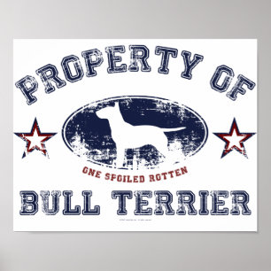 Bull Terrier Poster