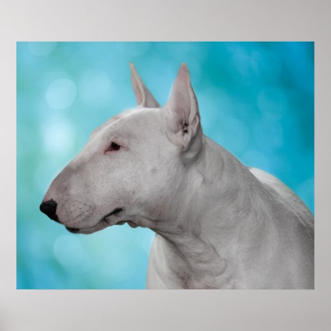 Bull Terrier Print (Front)