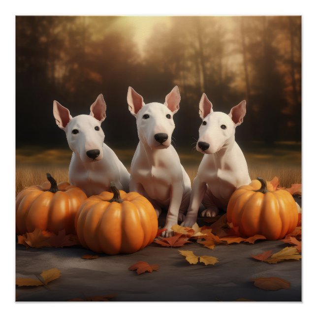 Bull Terrier Puppy Autumn Delight Pumpkin Poster (Front)