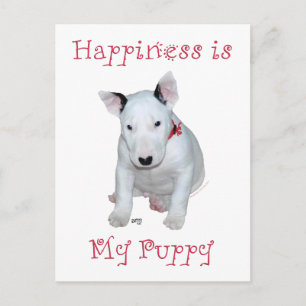 Bull Terrier Puppy Postcard