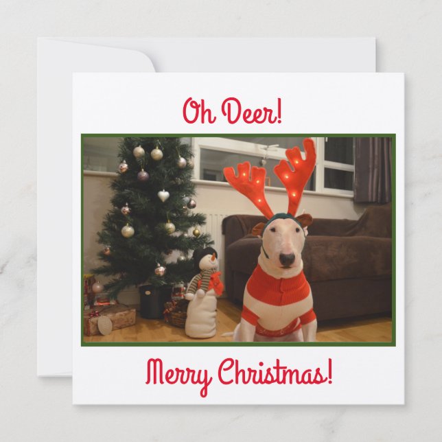 Bull Terrier Reindeer Christmas Funny  Card (Front)