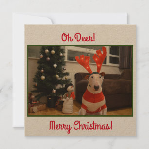 Bull Terrier Reindeer Christmas Funny  Card