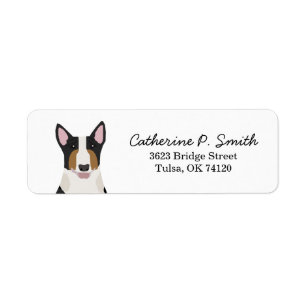 Bull Terrier Return Address