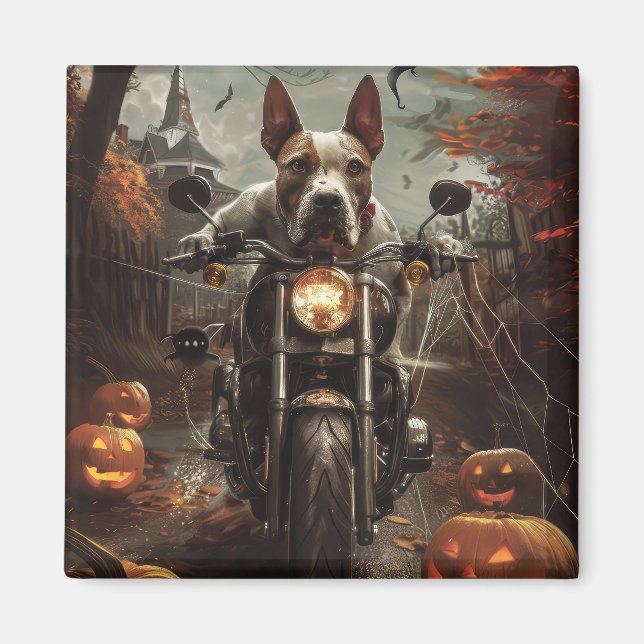 Bull Terrier Riding Motorcycle Halloween Scary Magnet (Front)