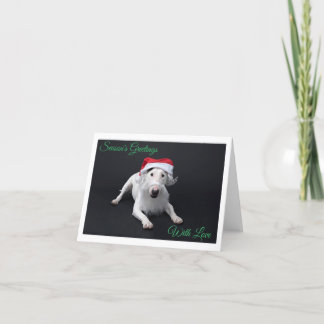 Bull Terrier Santa Christmas Folded Greeting Card