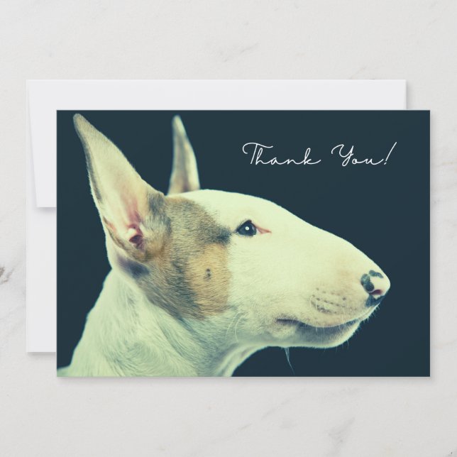 Bull Terrier Thank You Card (Front)