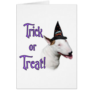 Bull Terrier Trick