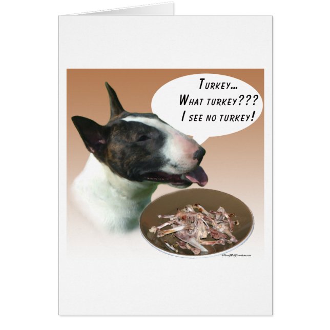 Bull Terrier Turkey (Front)