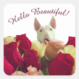 Bull terrier with roses greeting - Hello Beautiful Square Sticker