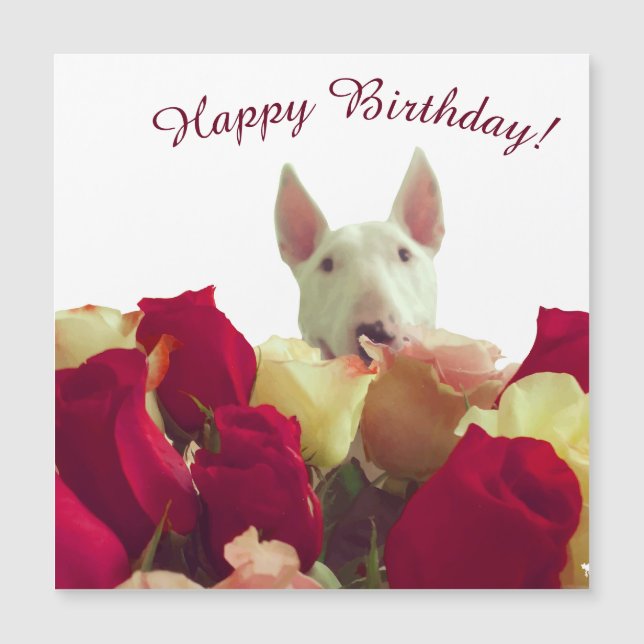 Bull terrier with roses - Happy Birthday! (Front)