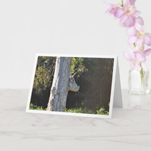 Bull Tree in Valencia, Spain, Spanish Card