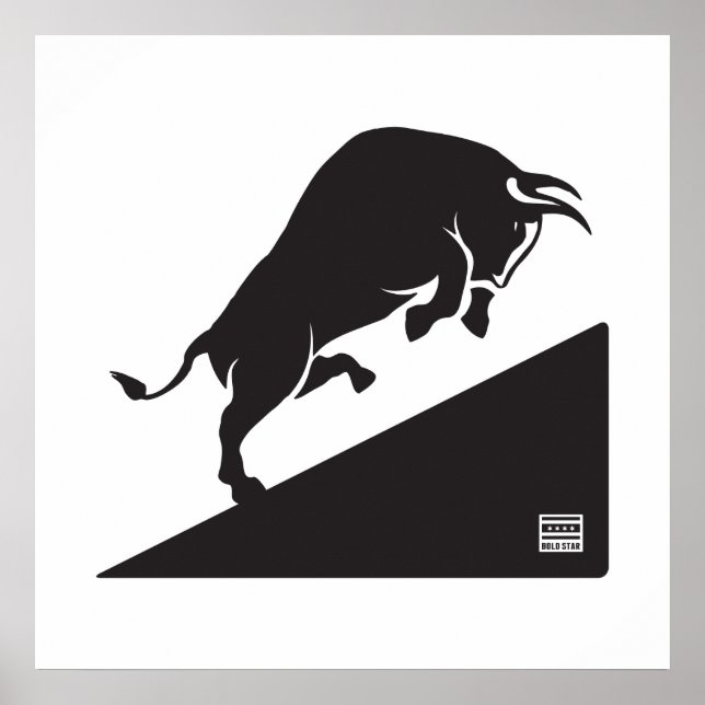 Bull Up CHI Poster (Front)