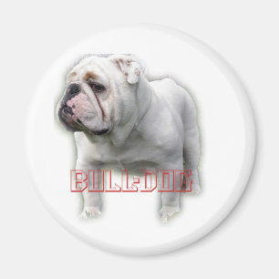 Bulldog ブルドッグ magnet