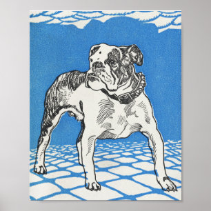 Bulldog (1912) print by Moriz Jung.