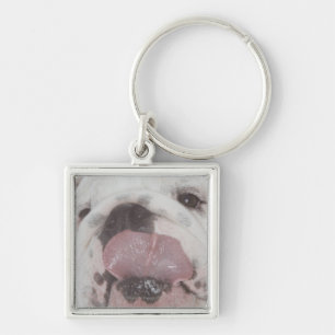 Bulldog 2 key ring