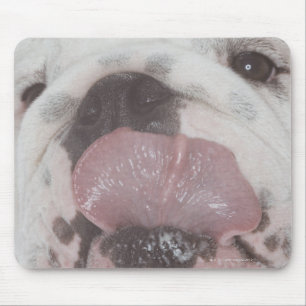 Bulldog 2 mouse mat