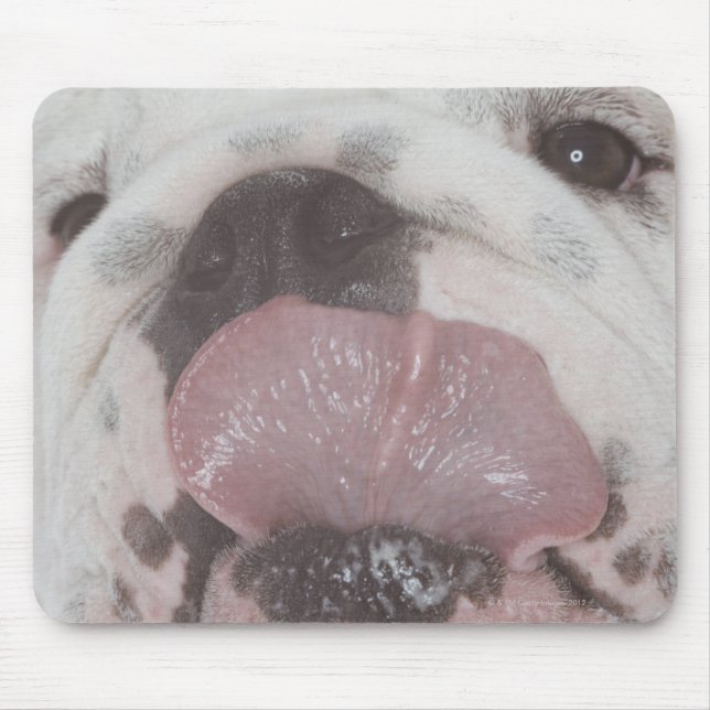 Bulldog 2 mouse mat (Front)