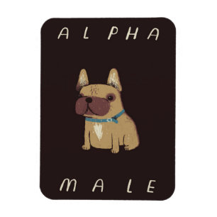 Bulldog Alpha Male   Bulldog Lovers Gift Magnet