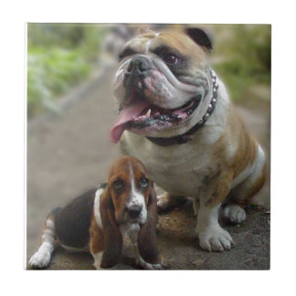 Bulldog & BabyBassett - Be aware of my best friend Tile