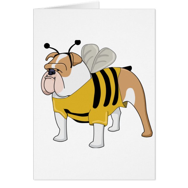 bulldog bee (Front)