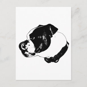 Bulldog Bold Postcard